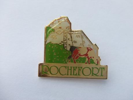 Rochefort provincie Namen twee koeien bij ruine